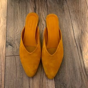 Everlane | The V Mule in Mustard